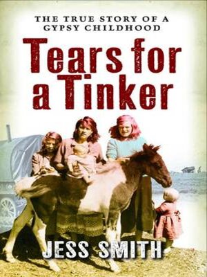 cover image of Tears for a Tinker